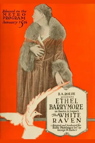 Görsel: TMDB The White Raven afişi