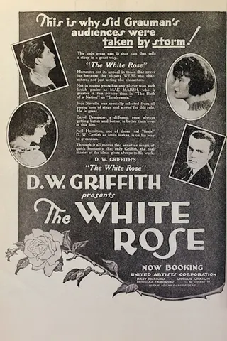 Görsel: TMDB The White Rose afişi