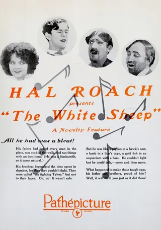 The White Sheep afişi