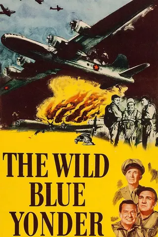 Görsel: TMDB The Wild Blue Yonder afişi