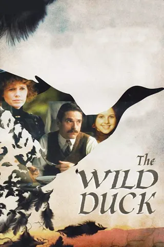 Görsel: TMDB The Wild Duck afişi