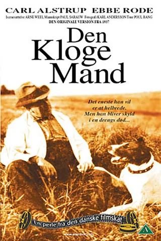 Görsel: TMDB The wise man afişi