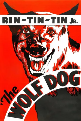 Görsel: TMDB The Wolf Dog afişi