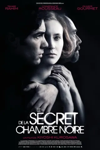 The Woman in the Silver Plate afişi