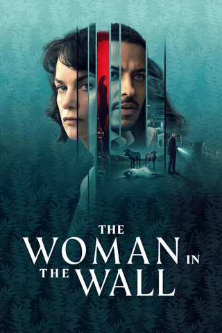 Görsel: TMDB The Woman in the Wall afişi
