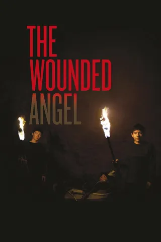 The Wounded Angel afişi