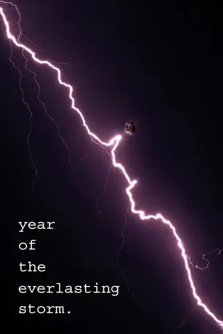 The Year of the Everlasting Storm afişi