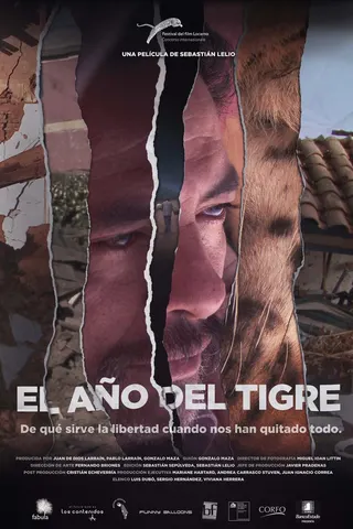 The Year of the Tiger afişi