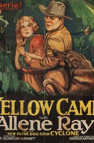 The Yellow Cameo afişi