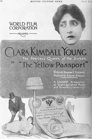 Görsel: TMDB The Yellow Passport afişi
