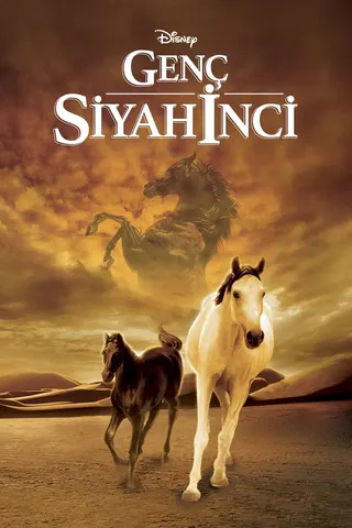 The Young Black Stallion afişi