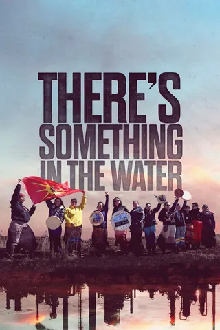 There's Something in the Water afişi
