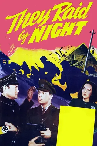 Görsel: TMDB They Raid by Night afişi