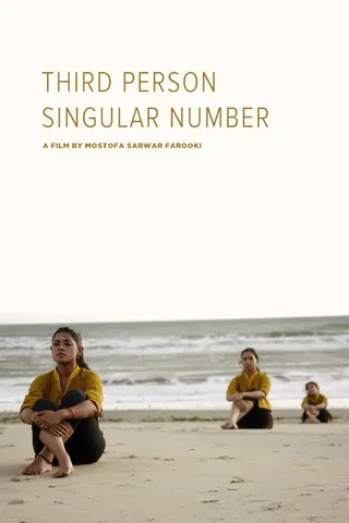 Third Person Singular Number afişi