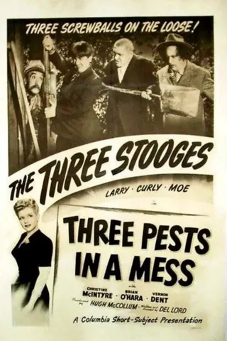 Görsel: TMDB Three Pests in a Mess afişi