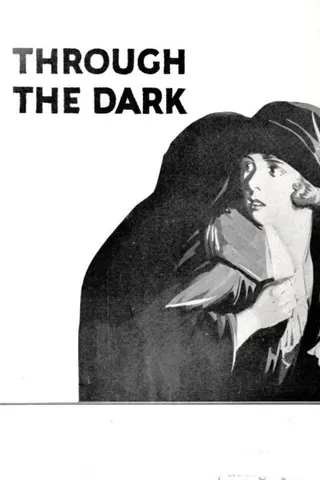 Through the Dark afişi