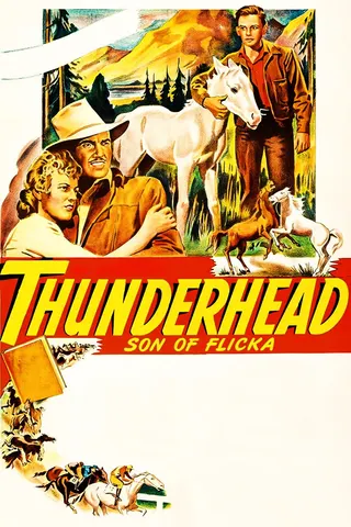 Görsel: TMDB Thunderhead, Son of Flicka afişi