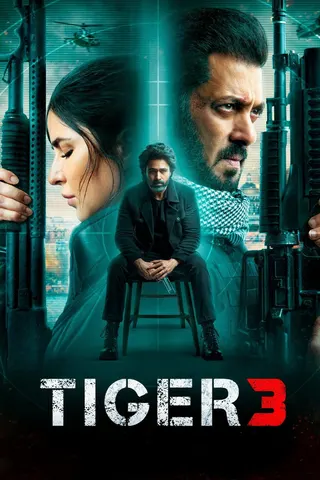 Görsel: TMDB Tiger 3 afişi