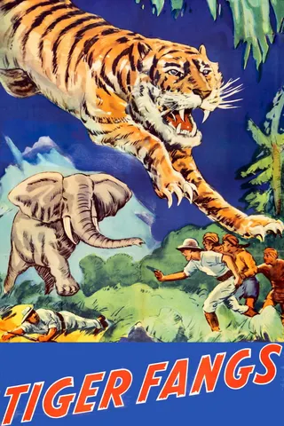 Tiger Fangs afişi
