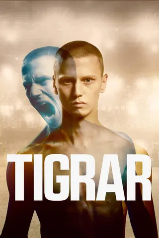 Görsel: TMDB Tigers afişi