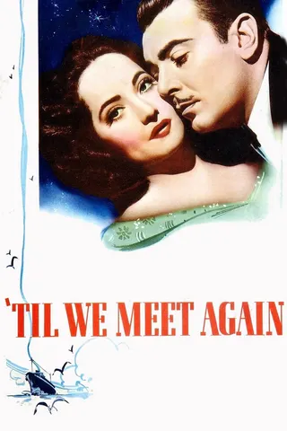 Görsel: TMDB 'Til We Meet Again afişi