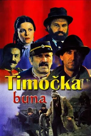 Görsel: TMDB Timočka buna afişi