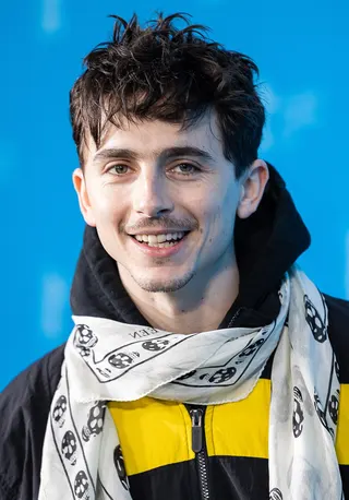 Görsel: Harald Krichel / CC BY-SA Timothée Chalamet