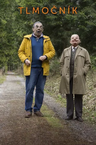 Görsel: TMDB Tlmočník afişi