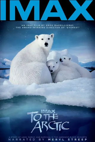 Görsel: TMDB To the Arctic 3D afişi