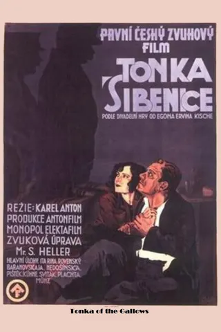 Tonka Sibenice afişi