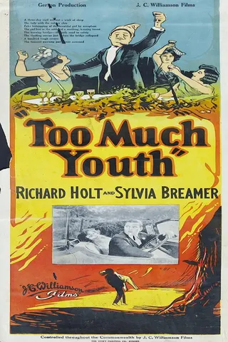 Görsel: TMDB Too Much Youth afişi