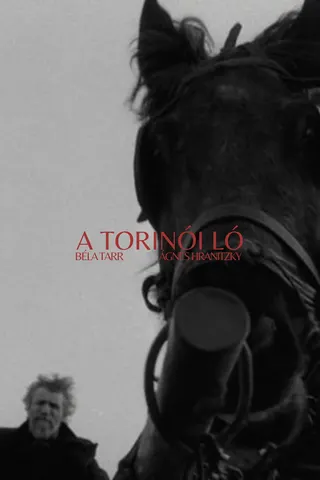 Görsel: TMDB Torino Atı afişi