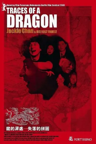 Görsel: TMDB Traces of a Dragon afişi