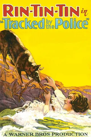 Tracked by the Police afişi