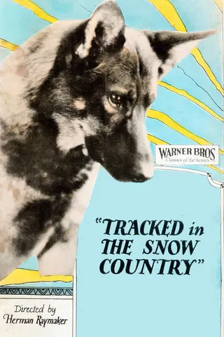 Tracked in the Snow Country afişi