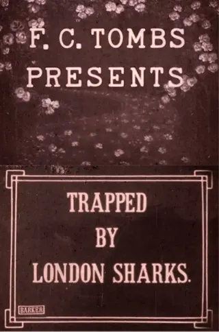 Trapped by the London Sharks afişi