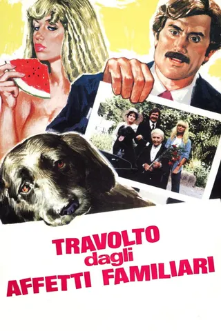Travolto dagli affetti familiari afişi