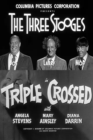 Görsel: TMDB Triple Crossed afişi