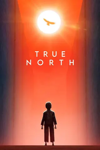 True North afişi