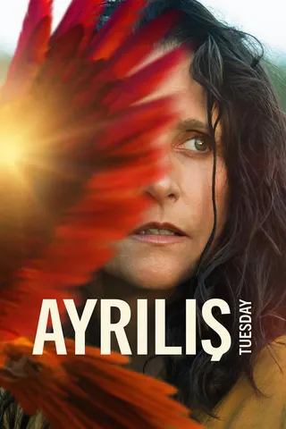 Tuesday afişi