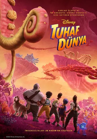 Tuhaf Dünya afişi