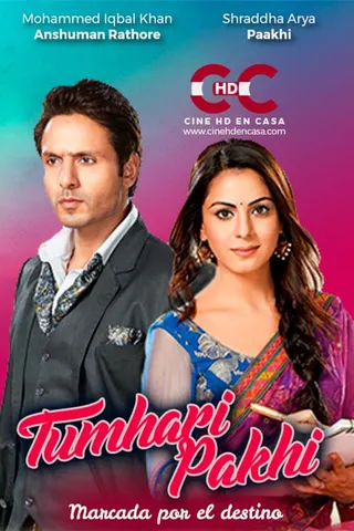 Görsel: TMDB Tumhari Paakhi afişi