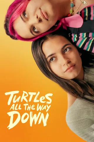 Görsel: TMDB Turtles All the Way Down afişi