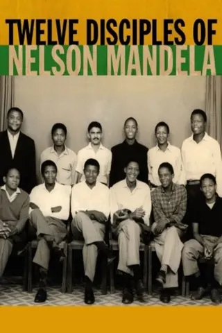Görsel: TMDB Twelve Disciples of Nelson Mandela afişi