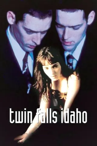 Görsel: TMDB Twin Falls Idaho afişi