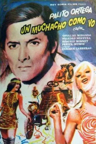 Görsel: TMDB Un Muchacho como yo afişi