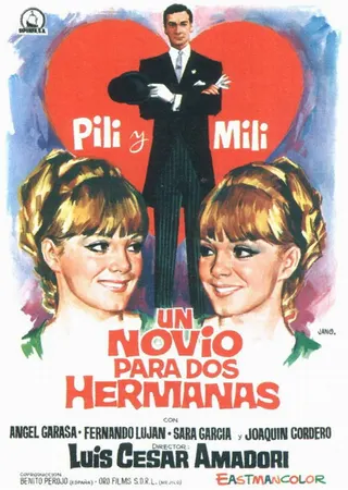 Un novio para dos hermanas afişi