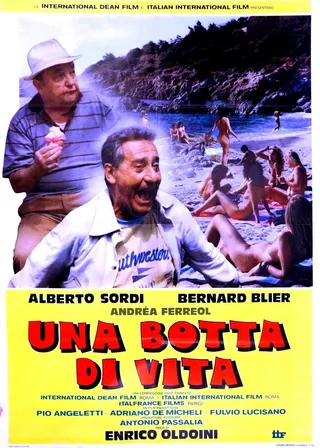 Una botta di vita afişi