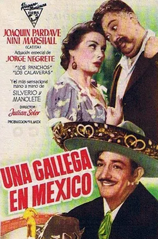 Görsel: TMDB Una gallega en México afişi