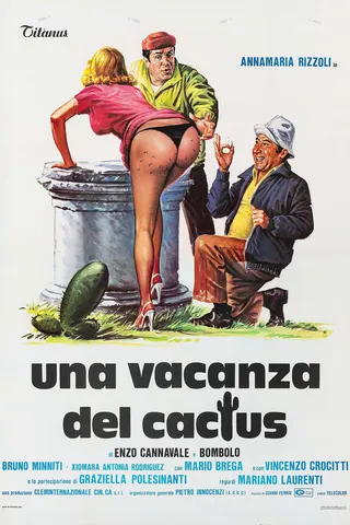 Görsel: TMDB Una vacanza del cactus afişi